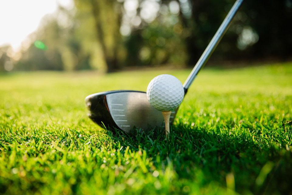 Golf-ball-club