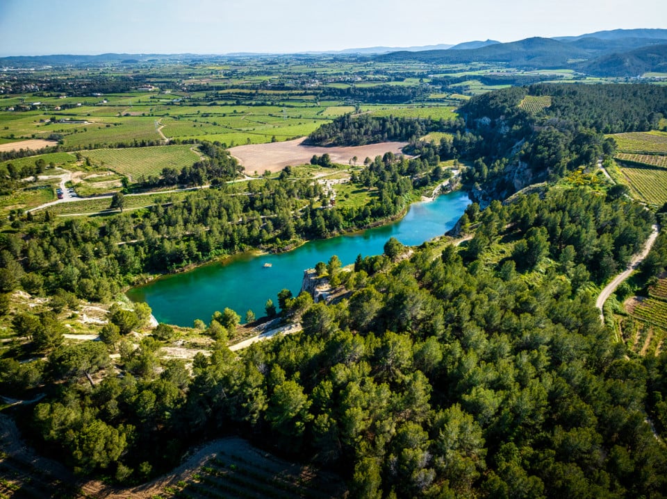 Lake, trees, vineyards