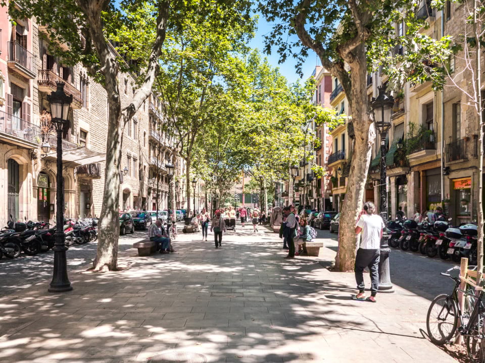 Passeig-del-Born-sunny-trees