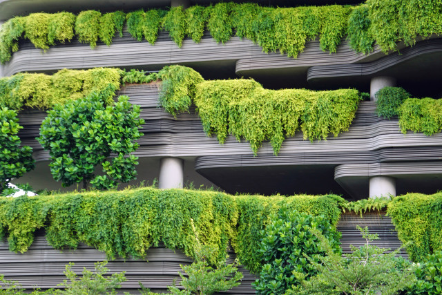 Welness-Biophilical-Blog-LucasFox