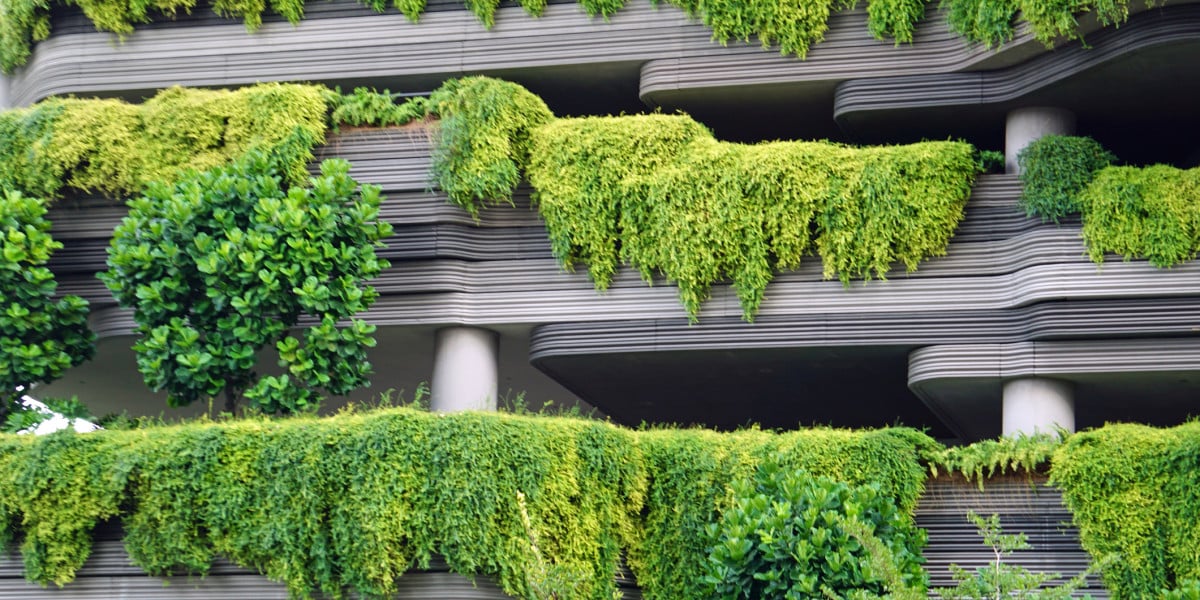 Welness-Biophilical-Blog-LucasFox