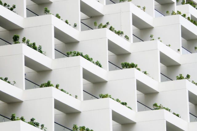 white building with plants