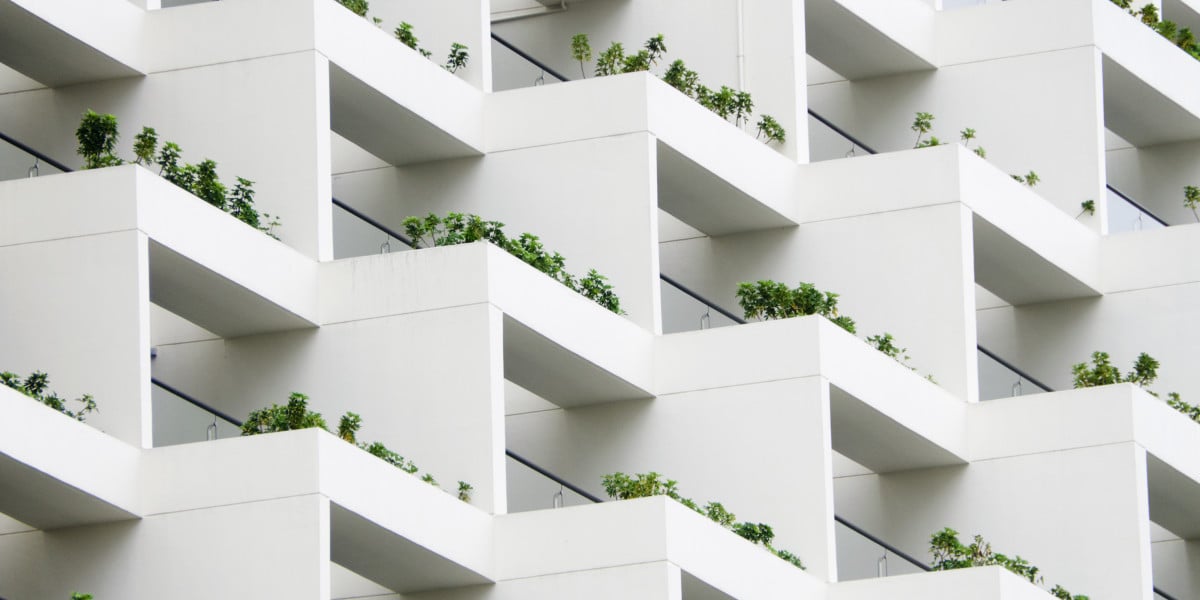 white building with plants